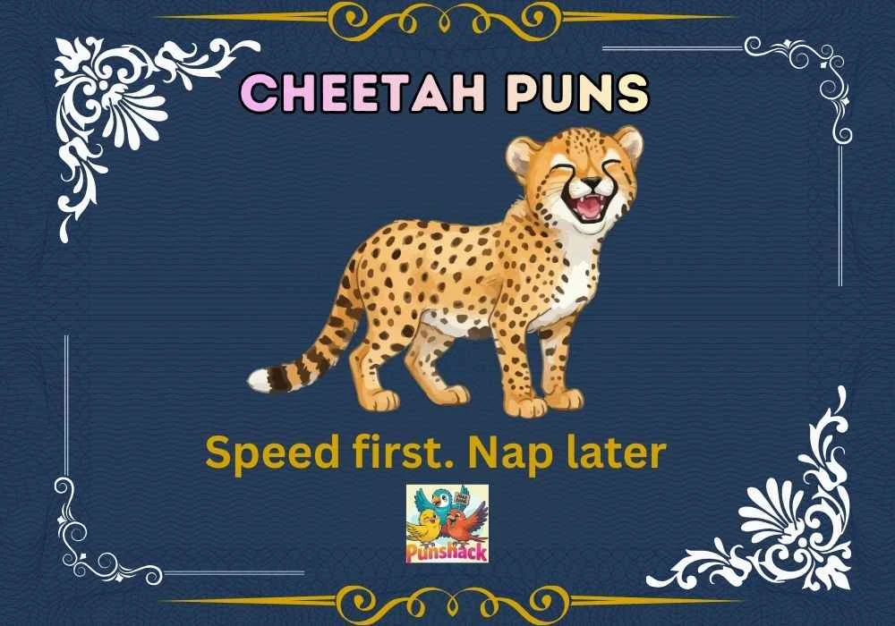 Cheetah Puns