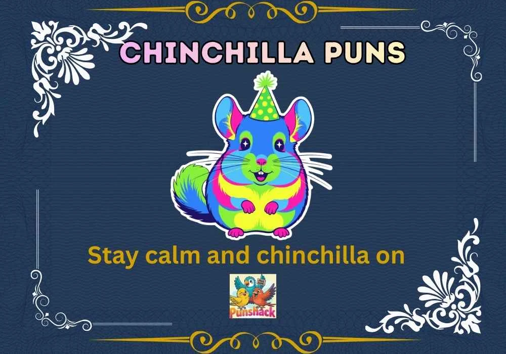 Chinchilla Puns