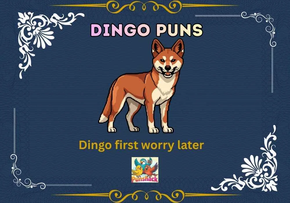 Dingo Puns