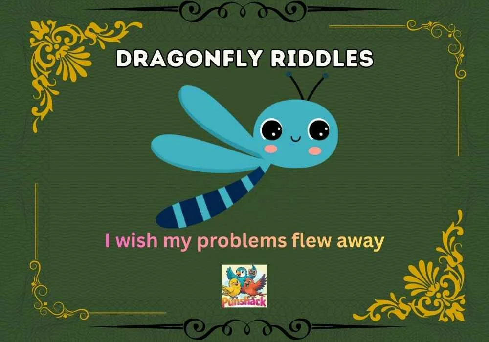 Dragnofly Riddles