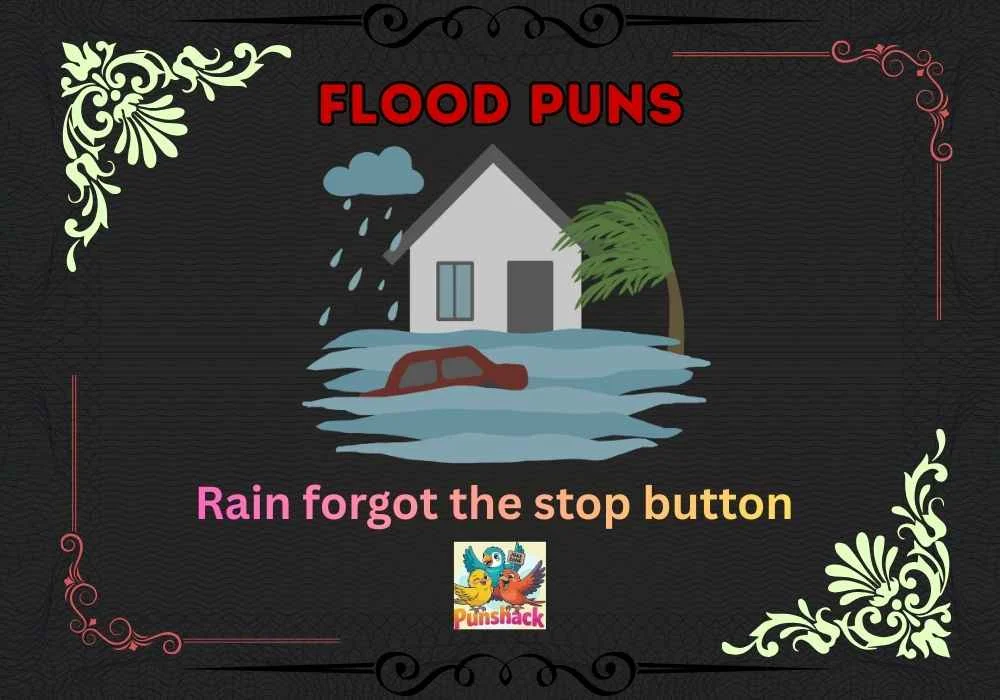 Flood Puns