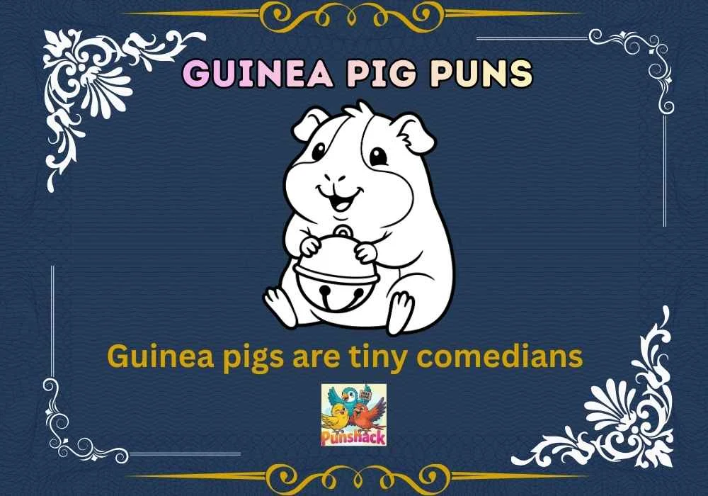 Guinea Pig Puns