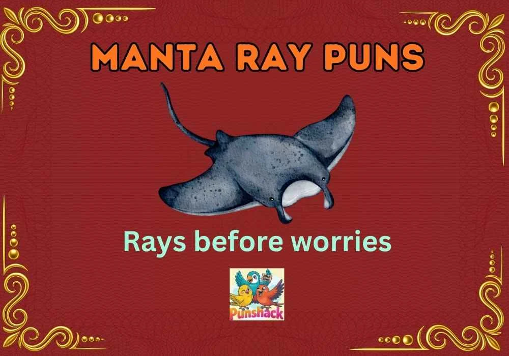 Manta Ray Puns