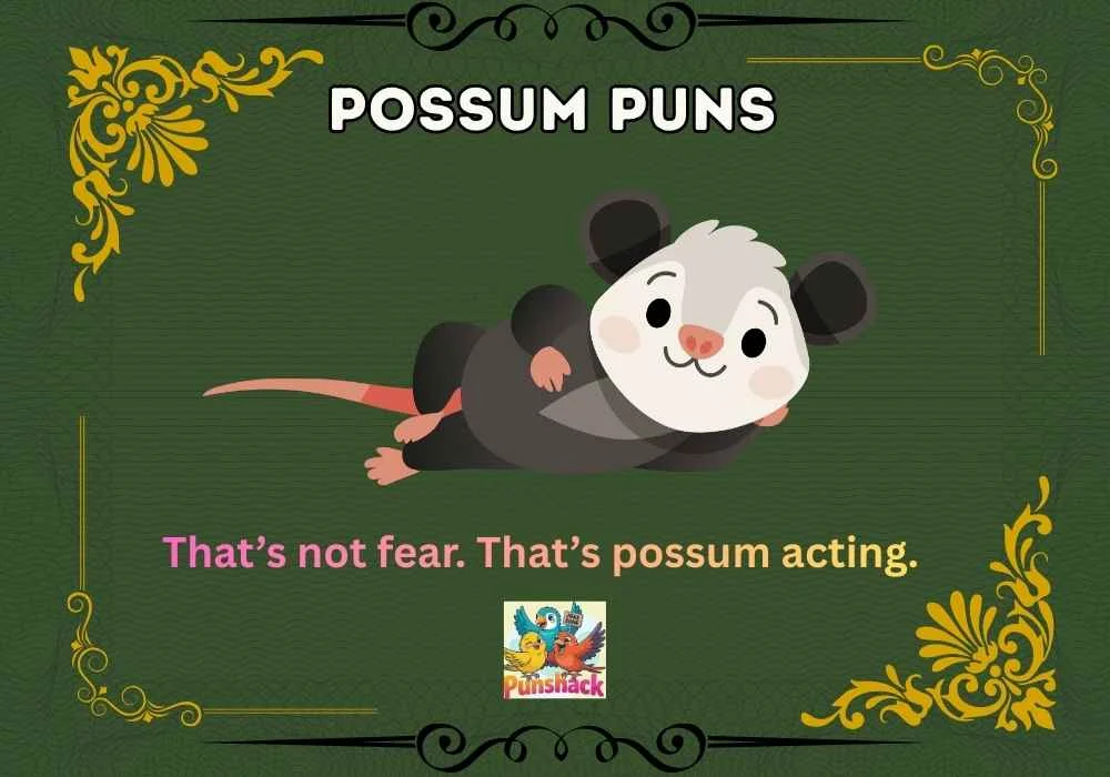 Possum Puns