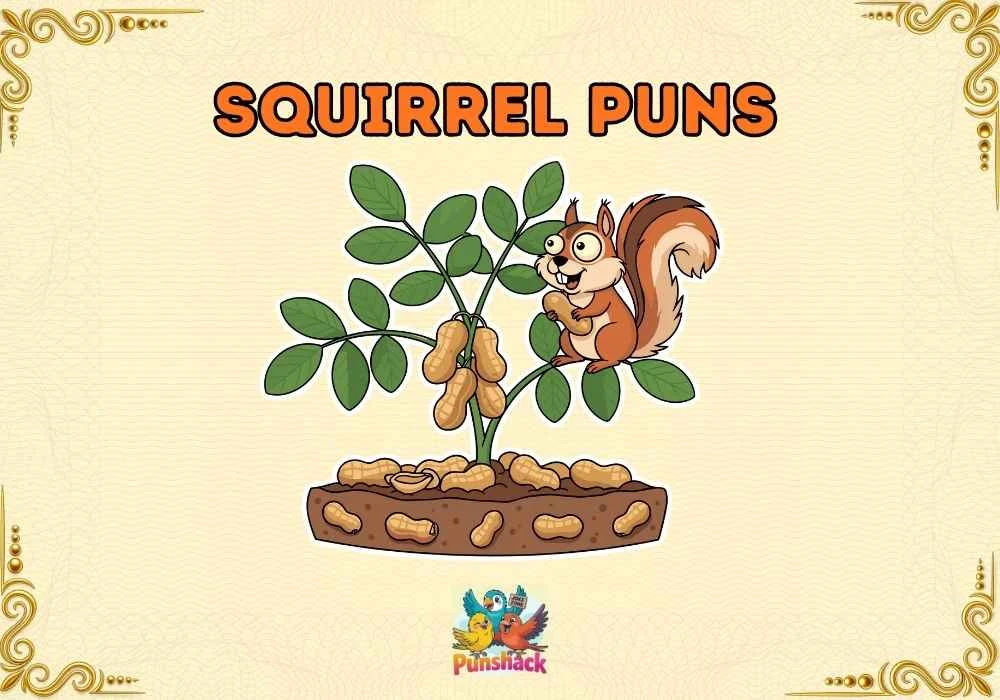 Squirrel Puns