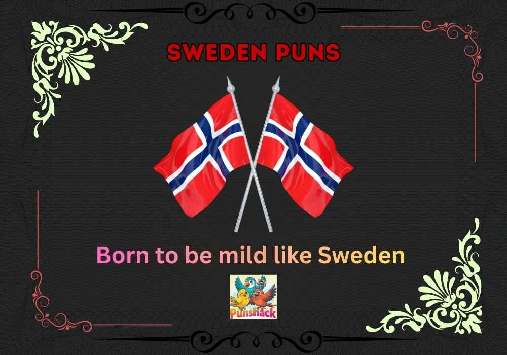 Sweden Puns