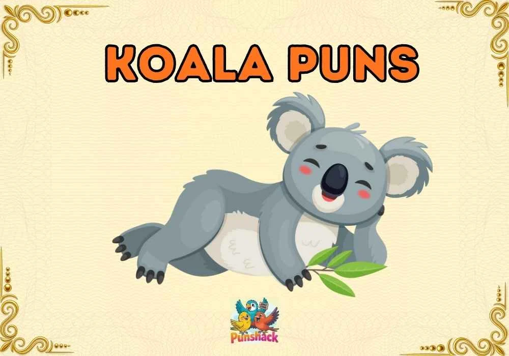 Koala Puns