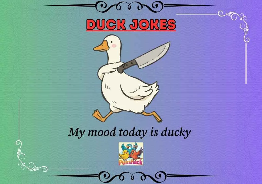 Duck Jokes