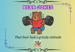 bear jokes