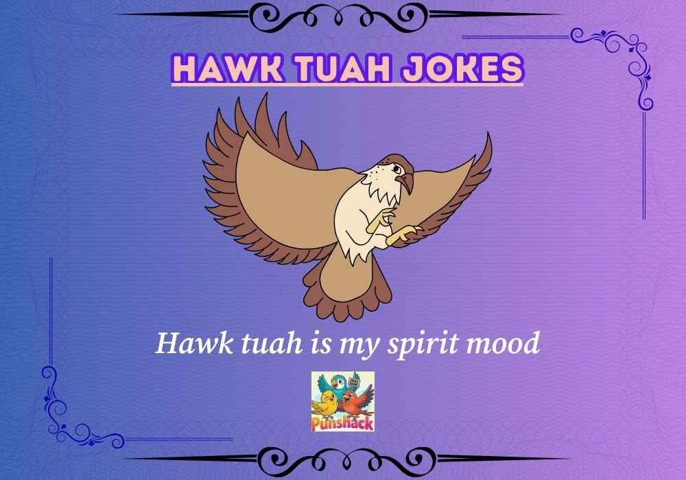 Hawk Tuah Jokes